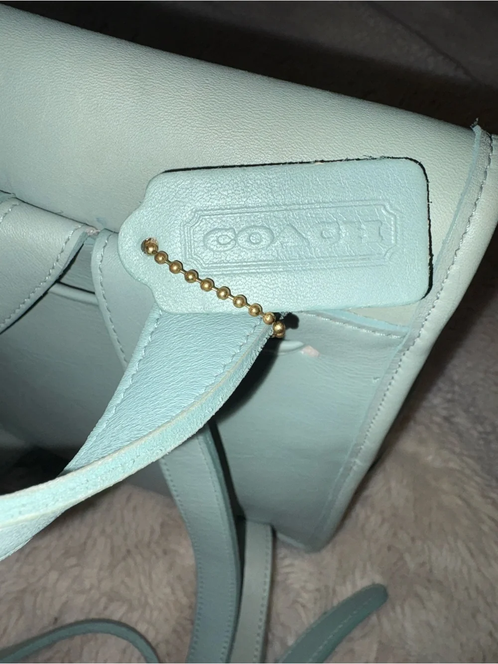 VTG (rare light green) PRISTINE COACH SMALL LEATHER DAYPACK